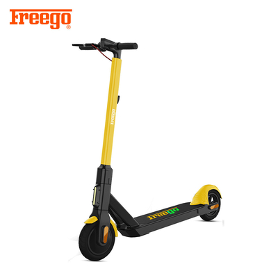 Yeni Fantezi Doğrulanmış Yetişkin Push Scooter, Elektrikli Daimi Scooter, Bayanlar İçin