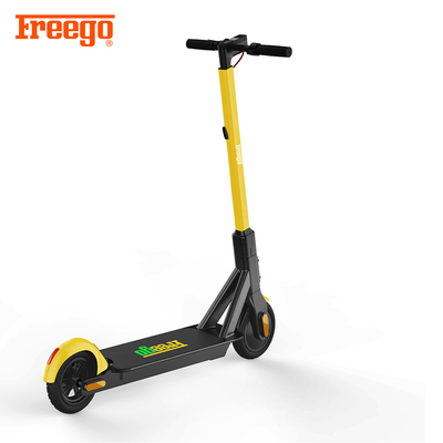 Yeni Fantezi Doğrulanmış Yetişkin Push Scooter, Elektrikli Daimi Scooter, Bayanlar İçin